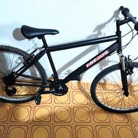 bici ammortizzata Frejus 26