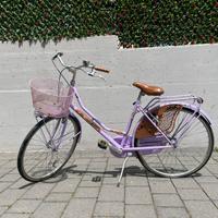 Bici holland crown