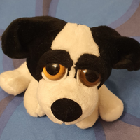 Pelouche dagli occhioni dolcissimi