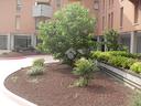 4-locali-a-brescia