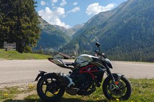 MV Agusta Brutale 800 AES-ABS 