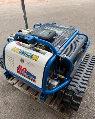 Tosaerba falciatutto