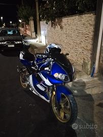 tzr 50