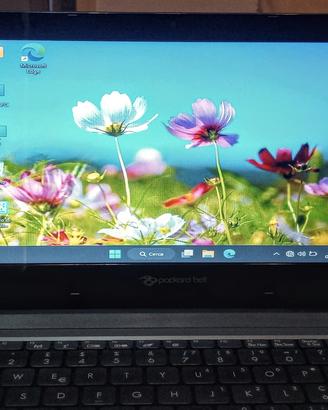 Computer Packard Bell Dot s