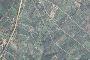 Terreno agricolo Uliveto Sabina