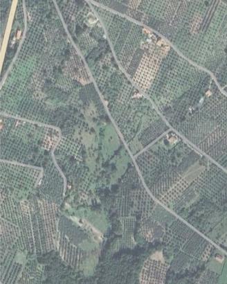 Terreno agricolo Uliveto Sabina