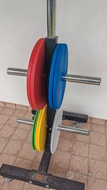 Dischi Powerlifting in acciaio NUOVI