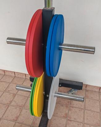 Dischi Powerlifting in acciaio NUOVI