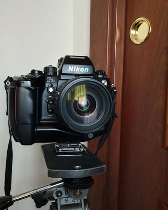 Nikon F4s (MB-21) + AF Nikkor 28-105mm f/3.5-4.5D