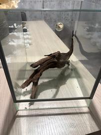 aquario o teca per rettile 