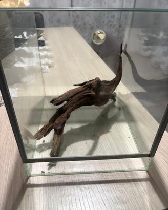 aquario o teca per rettile 