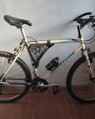MOUNTAIN BIKE UOMO