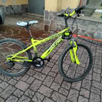 bici 24