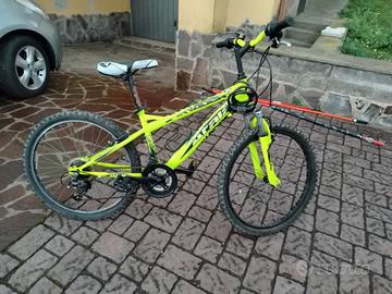 bici 24
