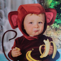 Costume di carnevale scimmia