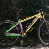 MTB Fausto Coppi Viper