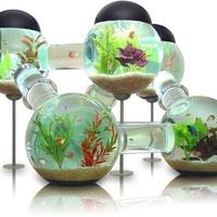 Acquario design con sfere