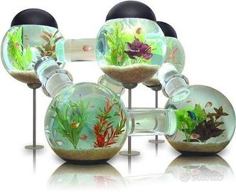 Acquario design con sfere