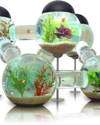 Acquario design con sfere
