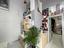 Immagine 16