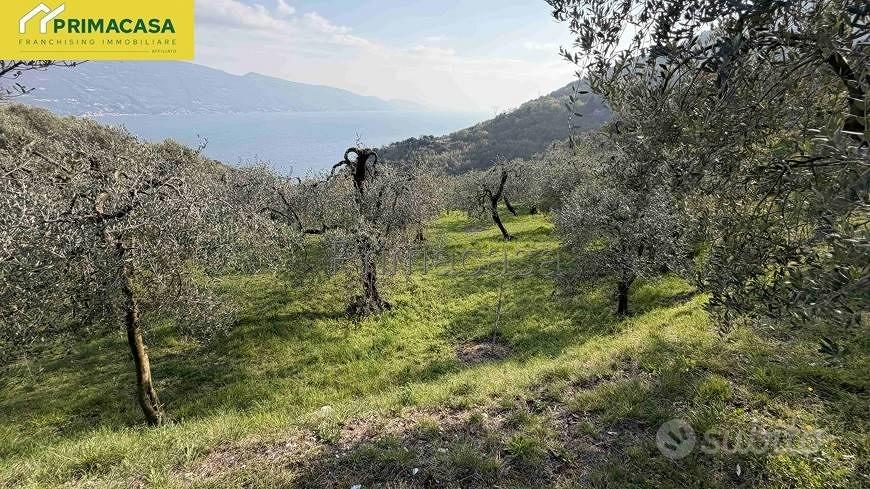 Terreno di 1840 m² a Tignale - Vista 5