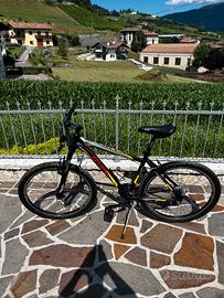 Bicicletta per ragazzi