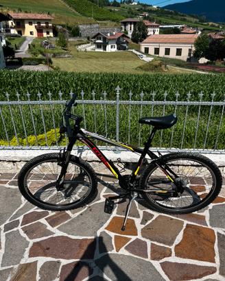 Bicicletta per ragazzi
