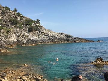 Estate ad Ascea matina