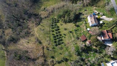 Terreno agricolo da gestire