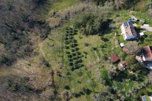Terreno agricolo da gestire