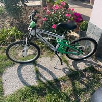 Bicicletta per anni 5/6