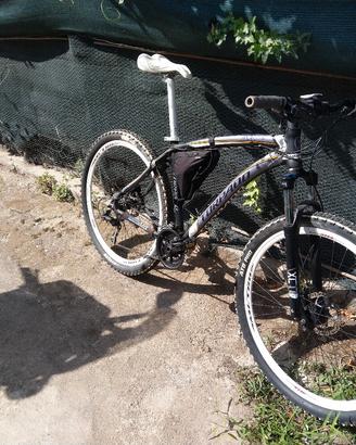 bici MTB torpado