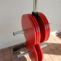 Dischi palestra sottili