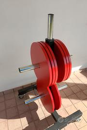 Dischi palestra sottili