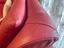 Immagine 5