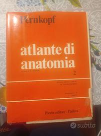 Atlante di anatomia