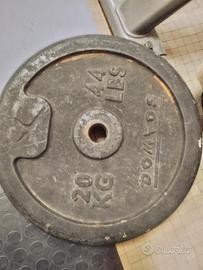 dischi in ghisa 20 kg foro 28 mm