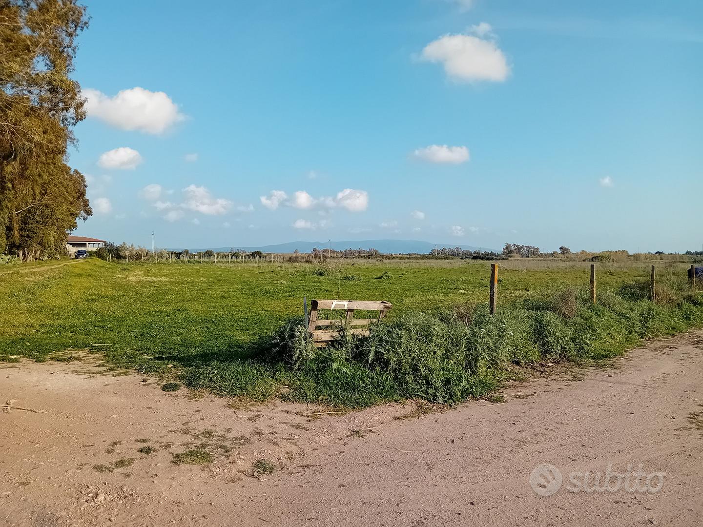 Terreno agricolo - Vista 3
