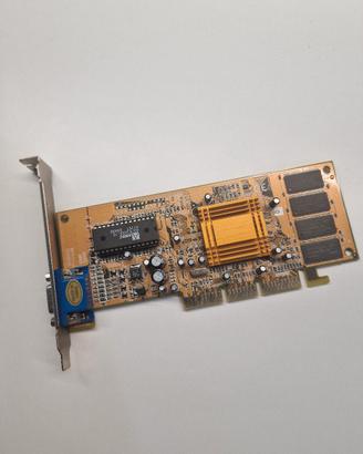 scheda video AGP 3D