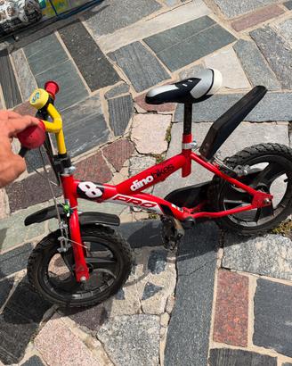 Bicicletta