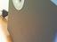 Immagine 5