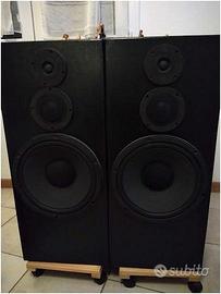 Diffusori Hi-Fi 200w Ciare di alta Qualità