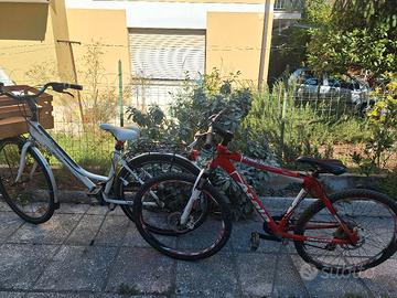 City bike e mtb