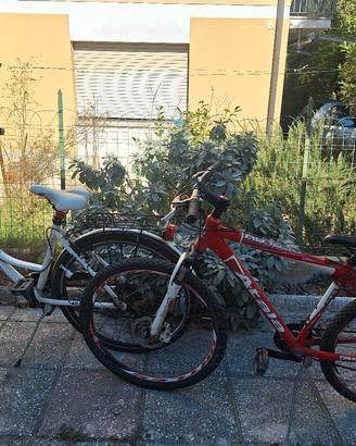 City bike e mtb