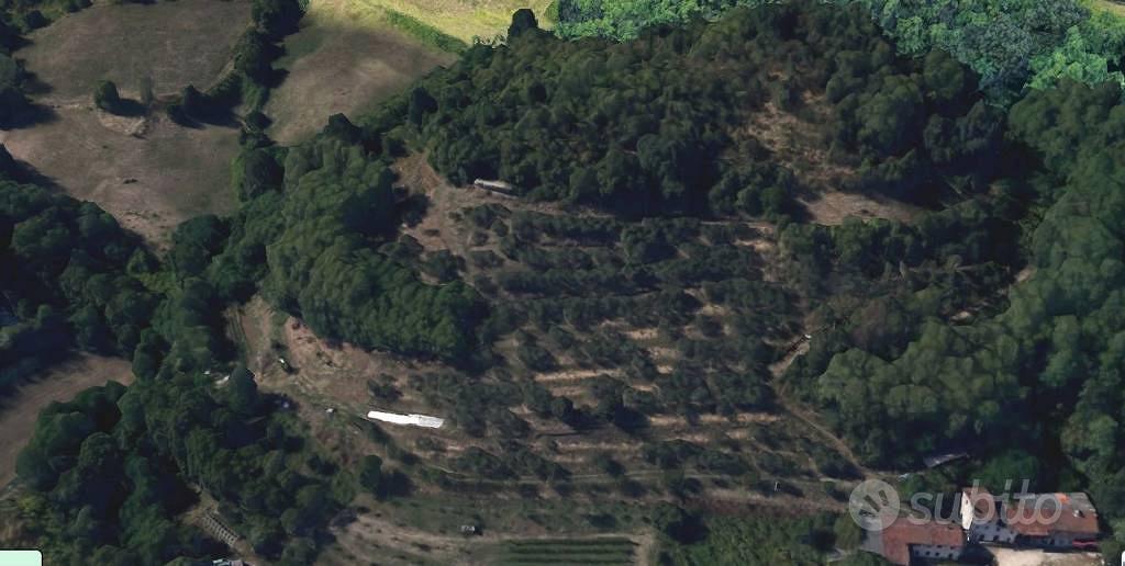 Terreno di 16000 m² a Montorso Vicentino - Vista 5