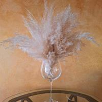 Mazzo di Pampas Bianche 