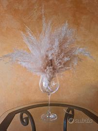 Mazzo di Pampas Bianche 