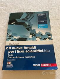 Il nuovo Amaldi per i licei scientifici blu- vol 2