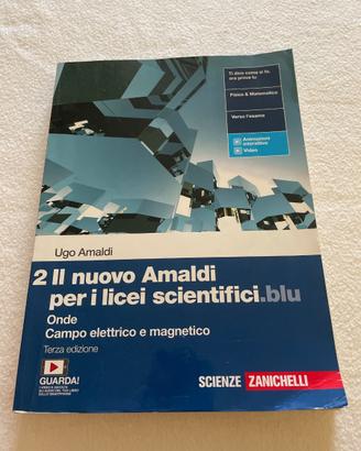 Il nuovo Amaldi per i licei scientifici blu- vol 2