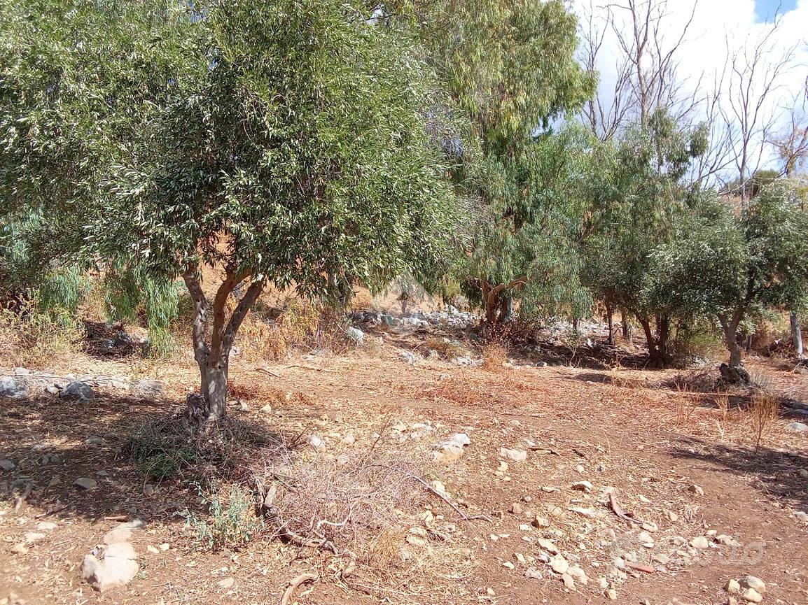 TERRENO A PALERMO - Vista 3
